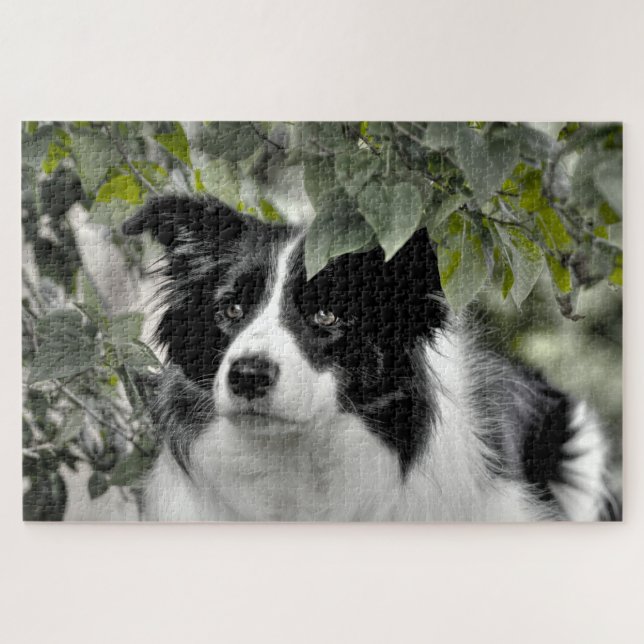 Quebra-cabeça Woodland Border Collie 1014 Piece (Horizontal)