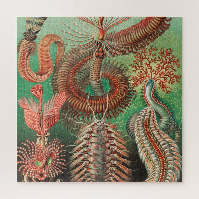 Quebra-cabeça Worms, Annelids Chaetopoda by Ernst Haeckel (Vertical)