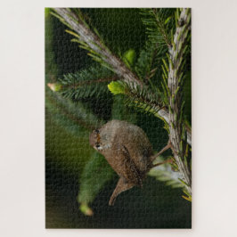 Quebra-cabeça Wren (Winterkoninkje)