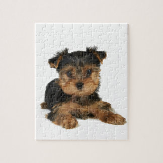 Quebra-cabeça Yorkie agradável