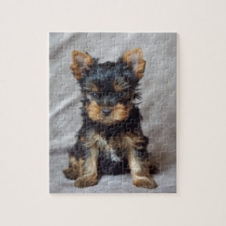 Quebra-cabeça Yorkie pequeno