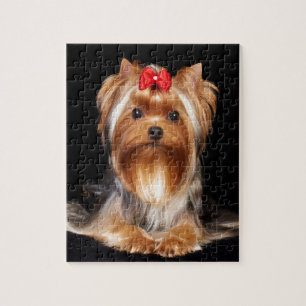 Quebra-cabeça Yorkshire terrier bonito