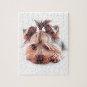 Quebra-cabeça Yorkshire terrier de Yorkies do amor do cão de