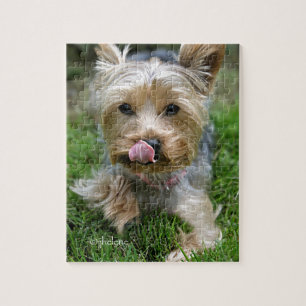 Quebra-cabeça Yorkshire Terrier Puppy - "jjhelene design"
