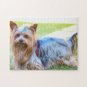Quebra-cabeça Yorkshire Terrier Yorkie Breve Dog Puppy