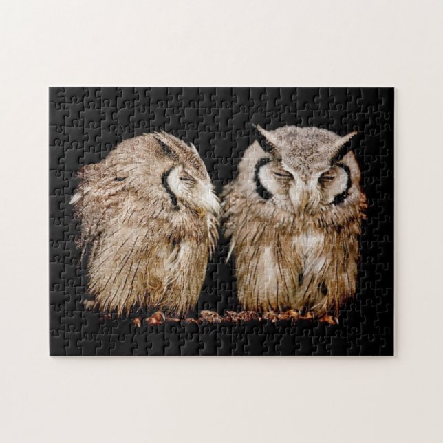 Quebra-cabeça Young Owlets (Horizontal)