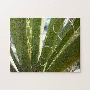 Quebra-cabeça Yucca deixa fotografia verde da natureza