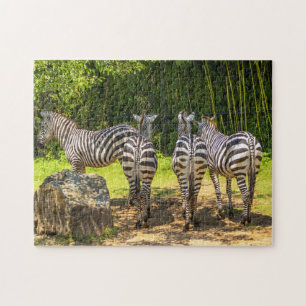 Quebra-cabeça Zebra