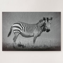 Quebra-cabeça Zebra