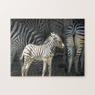 Quebra-cabeça Zebra ensolarada do bebê