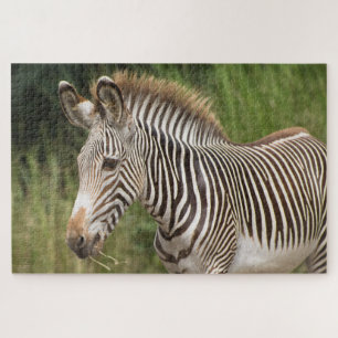 Quebra-cabeça Zebra Juvenil