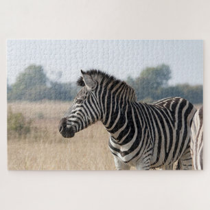 Quebra-cabeça Zebra no safari