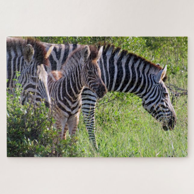 Quebra-cabeça zebra safari (Horizontal)