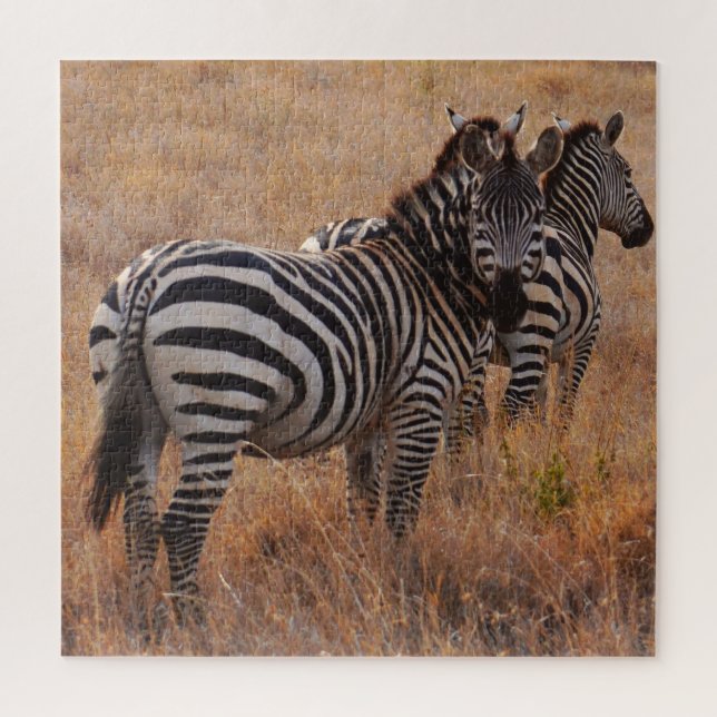 Quebra-cabeça Zebra selvagem na planície africana (Vertical)