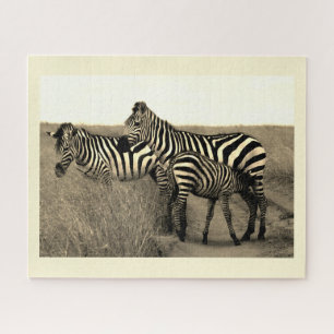 Quebra-cabeça Zebras