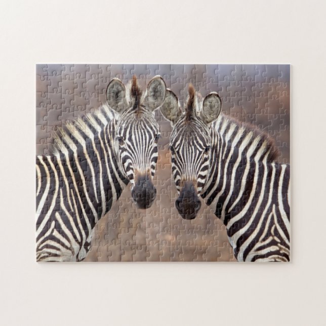 Quebra-cabeça Zebras-comuns, Parque Nacional Kruger (Horizontal)