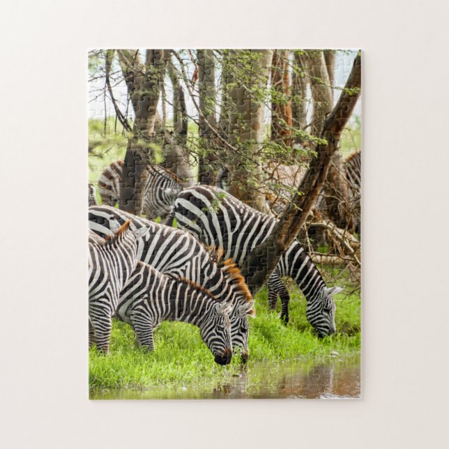 Quebra-cabeça zebras do serrote pelo rio (Vertical)