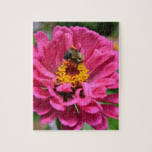 Quebra-cabeça Zinnia rosa e abelha-lombo