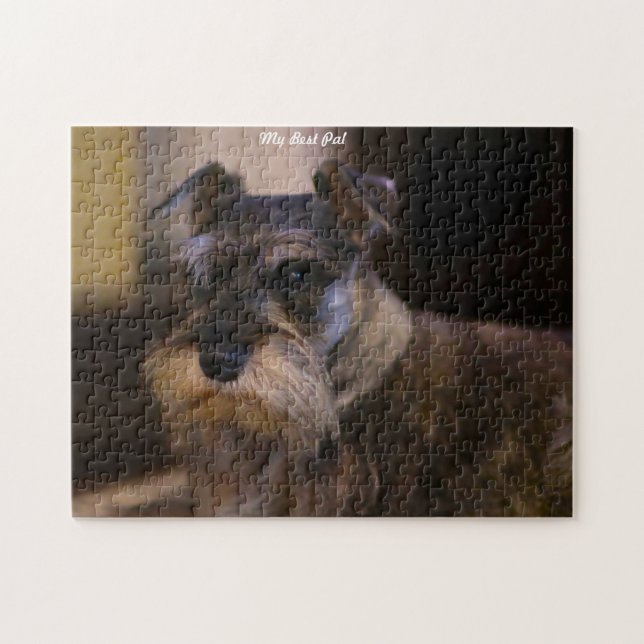 Quebra-cabeças de Cachorro Schnauzer. (Horizontal)
