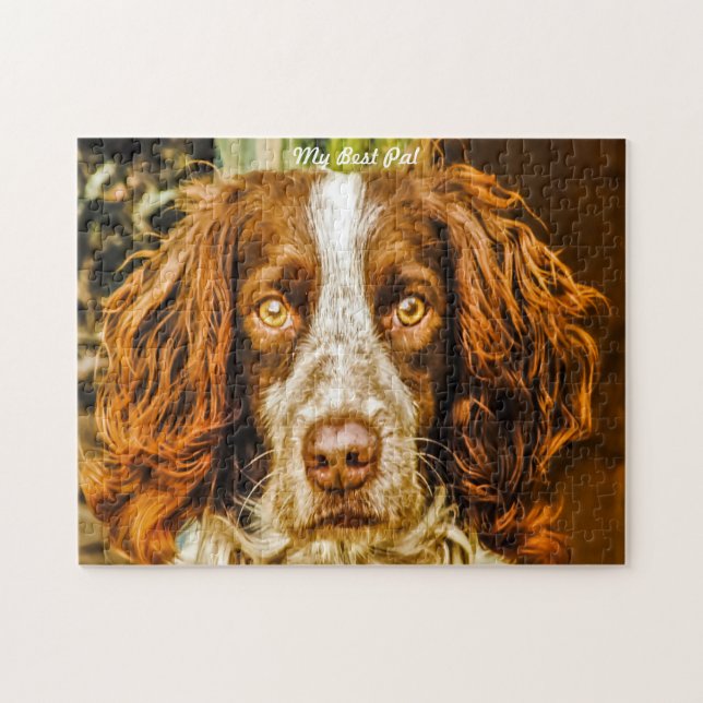 Quebra-cabeças de Cães Springer Spaniel. (Horizontal)