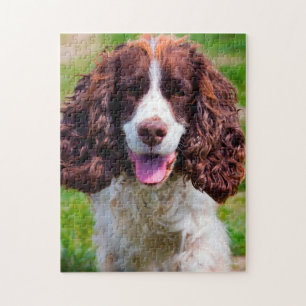 Quebra-cabeças de Cães Springer Spaniel.
