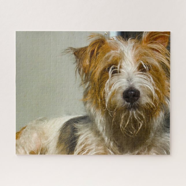 Quebra-cabeças de cães Westie. (Horizontal)