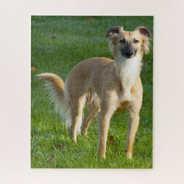 Quebra-cabeças de Cães Whippet de Cabelo Longo. (Vertical)