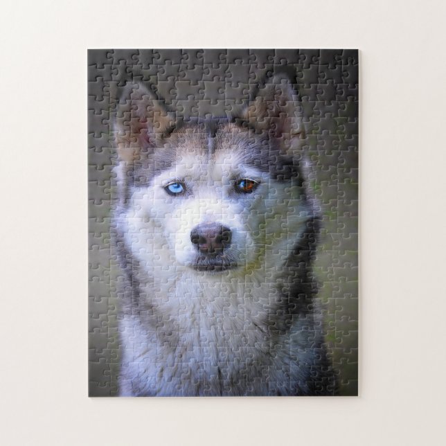 Quebra-cabeças de Husky Siberiano. (Vertical)
