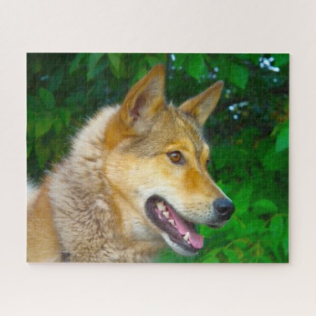 Quebra-cabeças do Cão Laika. (Horizontal)