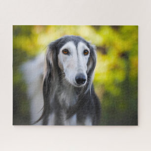 Quebra-cabeças do Cão Saluki.