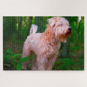Quebra-cabeças do Cão Terrier Wheaten.