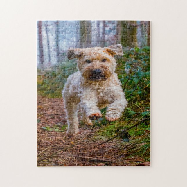 Quebra-cabeças do Cão Terrier Wheaten. (Vertical)
