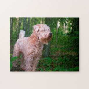 Quebra-cabeças do Cão Terrier Wheaten.