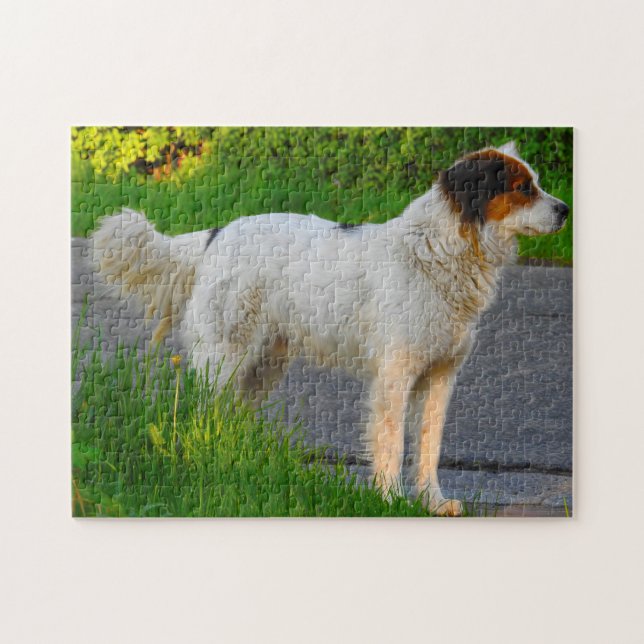 Quebra-cabeças do Cão Tornjak. (Horizontal)