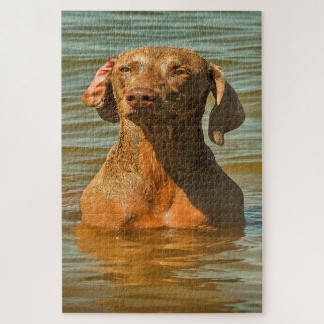 Quebra-cabeças do Cão Weimaraner. (Vertical)