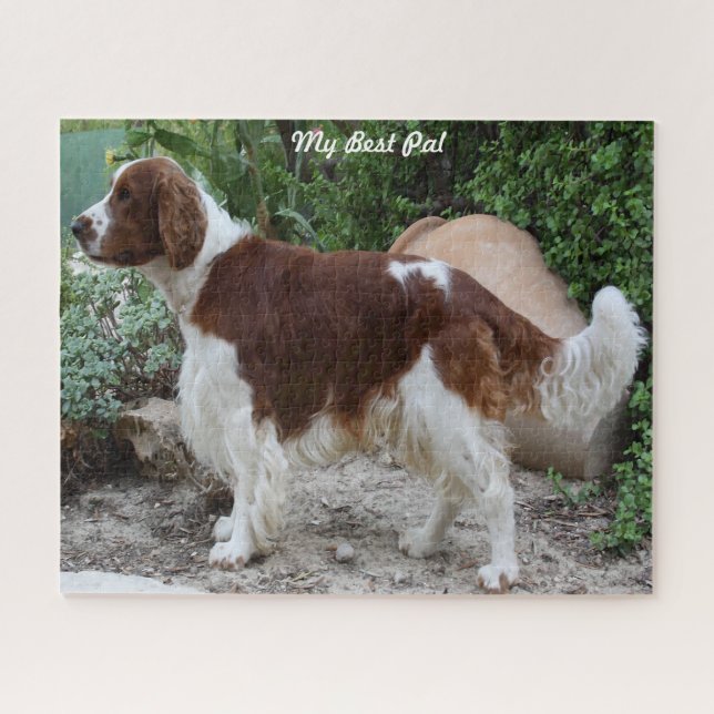 Quebra-cabeças do Cão Welsh Springer Spaniel. (Horizontal)