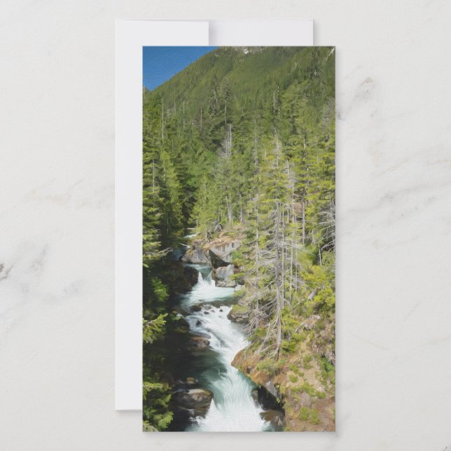 Quebra de água na Floresta Nacional da Olimpiadas (Frente)