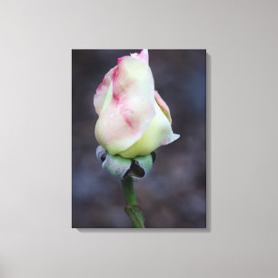 Quebra de Canvas rosa