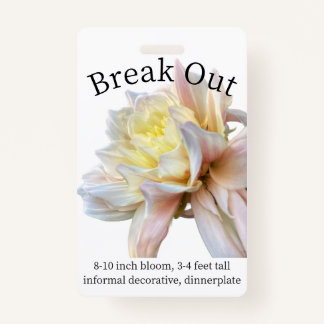 Quebrar Crachá de ID Dahlia