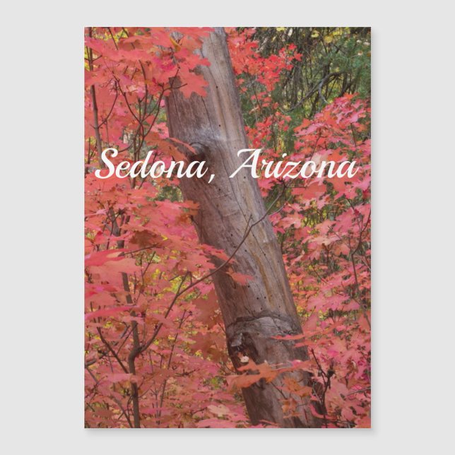 Queda a rosa em Sedona (Frente)
