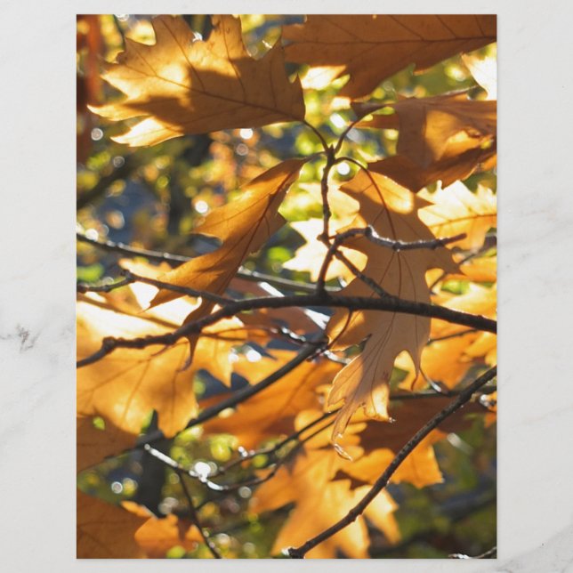 Queda Amarela (Frente)