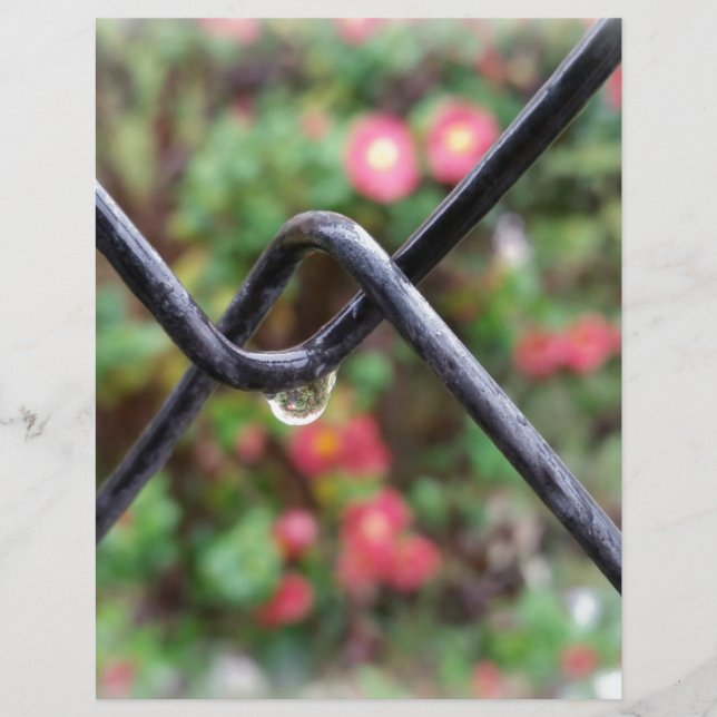 Queda de chuva (Frente)
