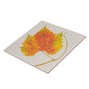 Queda de tonalidade em um Azulejo cerâmico