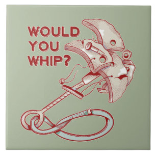 QUEDA DE WHIPPER DE LIMPEZA TRAD