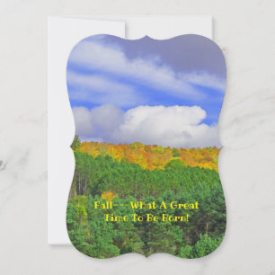 QUEDA:QUE EXCELENTE DE SER NASCER!/ANIVERSÁRIO