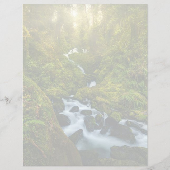Quedas | Parque Nacional da Olimpiadas, Washington (Frente)