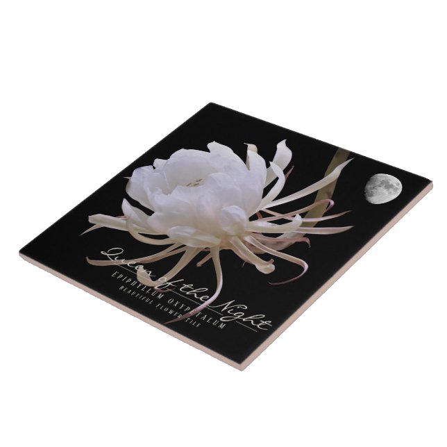 Queen of the Night タイル (Lateral)