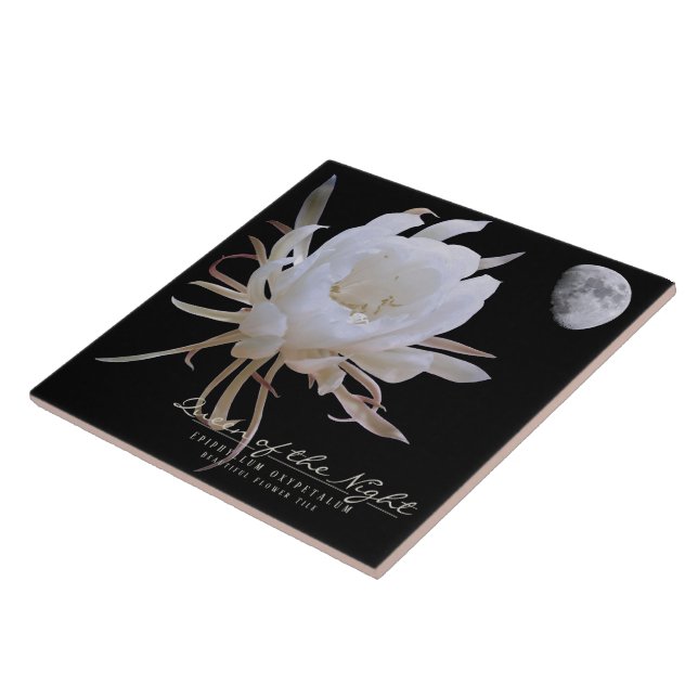 Queen of the Night タイル (Lateral)