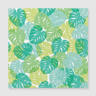 Queijo exótico: Monstera tropical