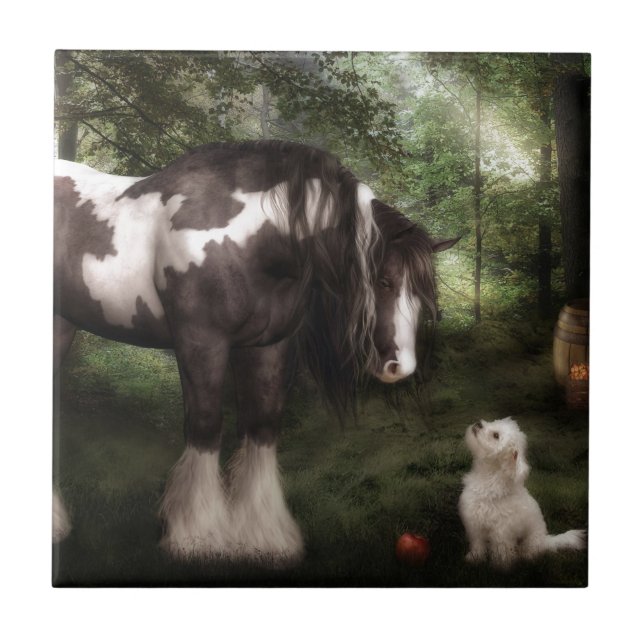 Queira jogar (Frente)